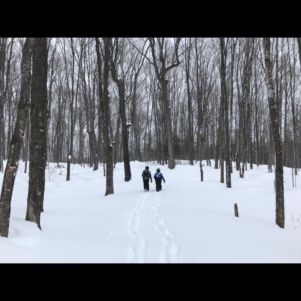 Meet your Posher, Cailin